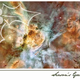 Illustration for article titled Hubble Celebrates the Holidays with Cosmic Cards